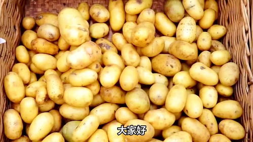 新鲜土豆怎么保存 教你正确方法，不发芽不变绿，实用又省钱