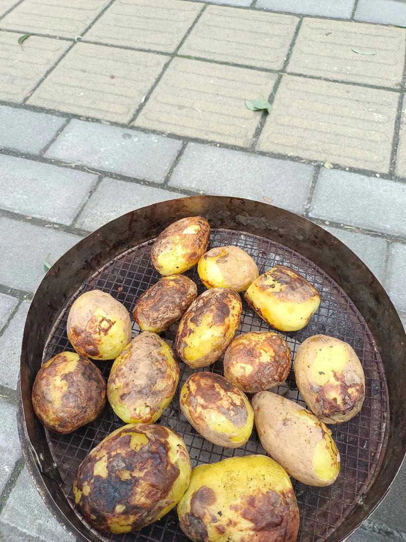 #把家乡的味道分享给大家 #烤土豆是多少人的回忆 #红薯